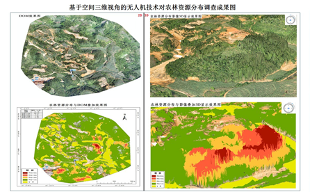 GIS 大赛作品图片